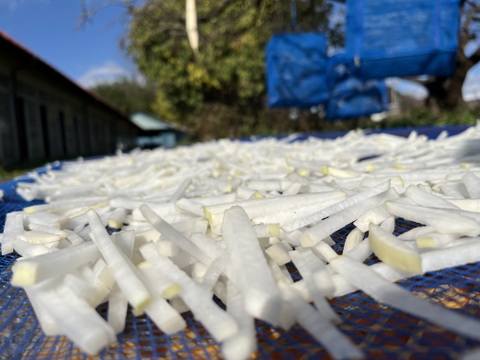 【自然の力で旨味・栄養UP！！】十文字の土と風が生み出す『切り干し大根』４０g×５パック！！手軽に様々な料理に♪