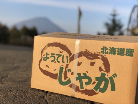 北海道産キタアカリ　10kg サイズ混合