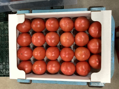 無印山口トマト大箱（Ｌサイズ）