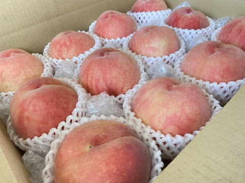 たっぷりわがままボディ♡もも♡山形県産あかつき♡