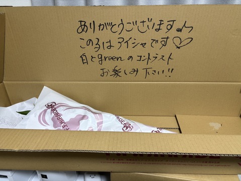 【年末向け含みます】アイシャ3輪3本束 ❤簡易包装❤　※年末のご予約締め切りは12月22日午前9時まで！！