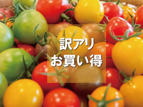 《訳アリお買い得》カラフルミニトマト(1.3㎏)