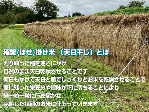 新米2025｜岩手・花巻産 ササニシキ 玄米5kg｜稲架掛け天日干しで香り豊かに仕上げた限定米