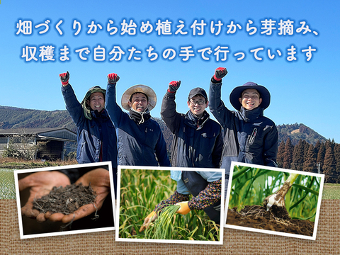 【今年穫れたて】宮崎県産 有機むきにんにく(300g入) 皮むきの手間が省けて便利！