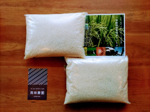 【新米】一等米【栽培期間中農薬不使用コシヒカリ】精米4kg（2kg×2袋）【80】令和5年産 有機肥料のみで栽培