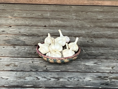自然栽培　乾燥にんにく　箱込5Kg