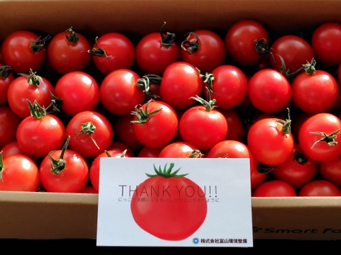 濃厚な旨味！酸味・甘味のバランス抜群！最高峰のミニトマト『フォレストフルティカ』1kg×1箱