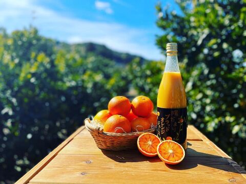 【希少！国産ブラッドオレンジ使用】陽だまりファーム　ブラッドオレンジジュース 　ストレート 100% （720ml×1本）