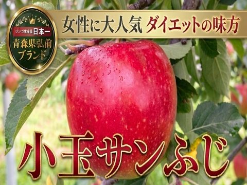 🍎日テレDayDay出演話題沸騰🍎女性に選ばれる食べる腸活“ちょうどいい『小玉サンふじ』お試し特価キャンペーン約11～13個
