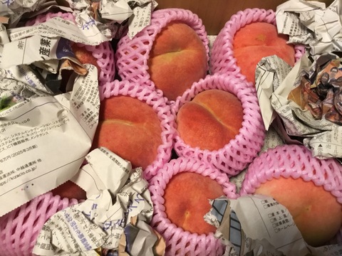 令和7年新潟産　植酸栽培　従来コシヒカリ　5kg