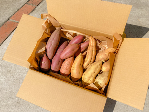 【有機JAS】彩りサツマイモ7種食べ比べBOX【予約商品：11月中旬～発送】
