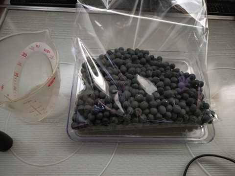 【🎍新豆】丹波黒豆500g お正月の黒豆煮用に是非🫘 レシピ付 有馬温泉の麓より どらまめと同じ品種 丹波黒大豆 丹波黒 黒豆《12/15日〜年内発送・お買い得📣》【福袋】【ゲン担ぎ福袋】