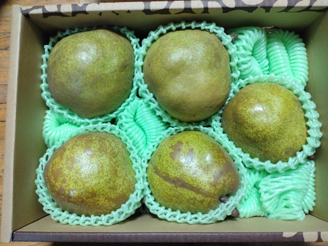 食べ頃出荷だから安心！ 【訳ありラフランス 】 約2㎏ ご家庭用やおすそ分けに丁度いい！（5玉～10玉入）R1-01-01