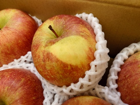 【冬ギフト】 🍎レビュー数1700件突破！！《家庭用》青森完熟葉とらずふじ８〜１２玉(約３kg)🍎ID119812