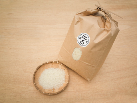 【令和7年 新米】【白米】岡山県産 にじのきらめき 虹のきらめき 9kg 2025年度