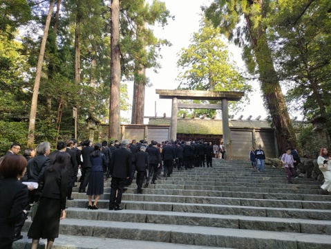 【　送料値引き　】　オーガニック野菜セット　有機野菜　Sセット　（月末がお得！）