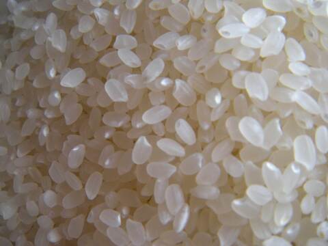 2026年新米　農薬節減率80%で栽培した
はざ掛け白米約9kg