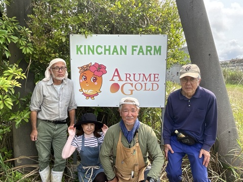 沖縄・東村の自然の中でひとつひとつ手作業で育てたこだわりの逸品。
見た目・味ともにワンランク上の贅沢マンゴー『アルメゴールド』