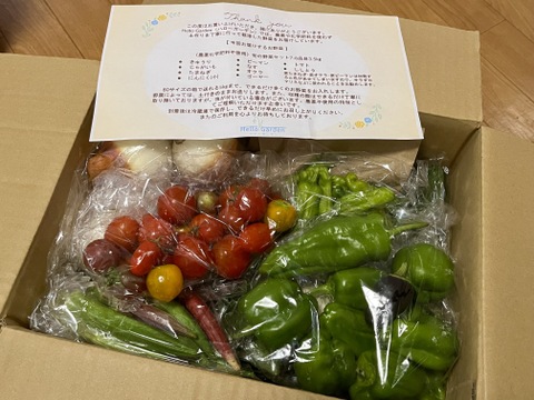 【農薬化学肥料不使用】旬の野菜セット(80サイズ5-6品)