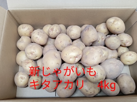 新じゃがいも⭐キタアカリ⭐(4kg)茨城県産