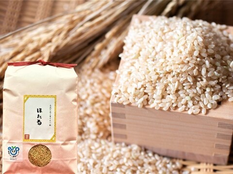 【SALE!!玄米】令和３年産　茨城県産ミルキークイーンほたる５kg【3日以内出荷】