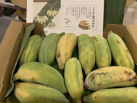 【特別価格！】沖縄産ナムワバナナ１kg