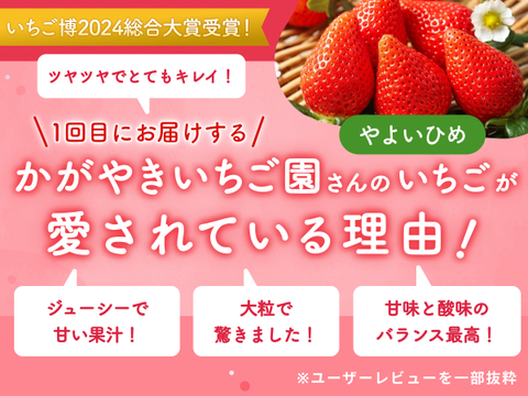 【限定100セット】こだわりいちご便🍓（食べチョク公式）