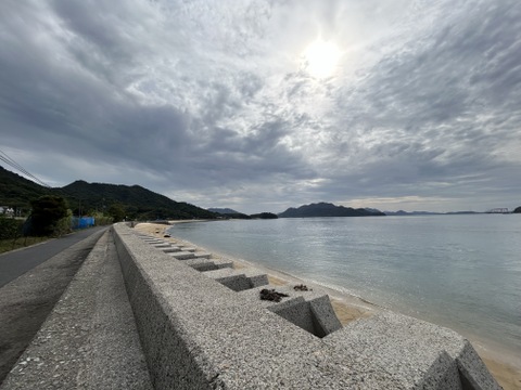今だけ限定！！≪S,Mサイズ≫これぞ瀬戸内！ 広島県佐木島のグリーンレモン約３kg【除草剤・ワックス・防腐剤不使用】