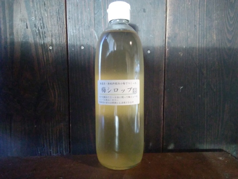 南信州産　農薬肥料不使用の竜峡小梅でつくった梅シロップ　500ml×2本