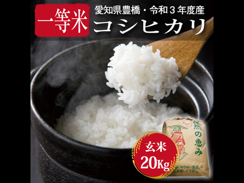 【節減対象農薬6割減・一等米】コシヒカリ 玄米20g（10kg×2袋）【令和3年・愛知県産】