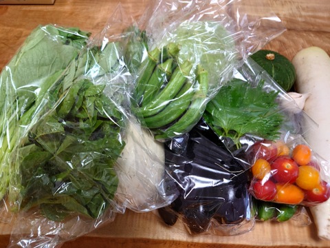 新鮮！旬の野菜セット【Mサイズ：約4〜4.5kg】【12品目】農薬・化学肥料不使用