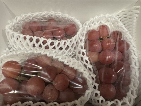 王妃の風格 クイーンニーナ 3-5房