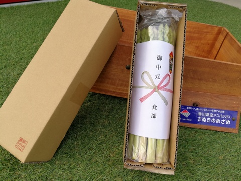 【贈答用】超どでか!太い!甘~いアスパラ「さぬきのめざめ」30㎝-3Lサイズ ぎっしり、ずっしり1.2kg【熨斗付き】