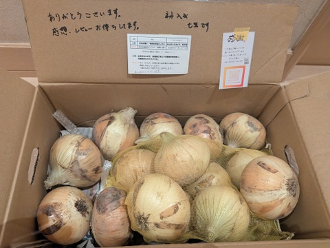 【最後のチャンス！】シャキ甘「七宝」と加熱でトロける「ボルト」食べ比べ5kg（サイズ混合）