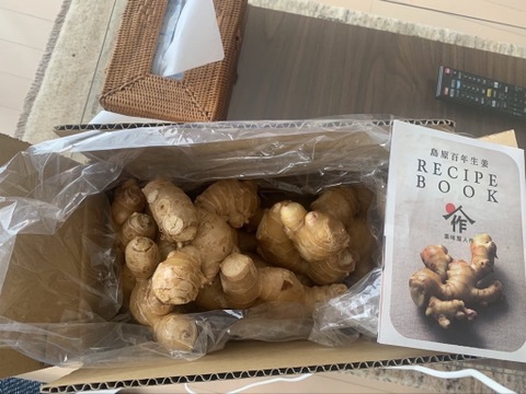 【付録：生姜レシピ】柔らかい！薬味屋人作の島原百年生姜®〈熟成大生姜〉（２kg）熨斗対応可