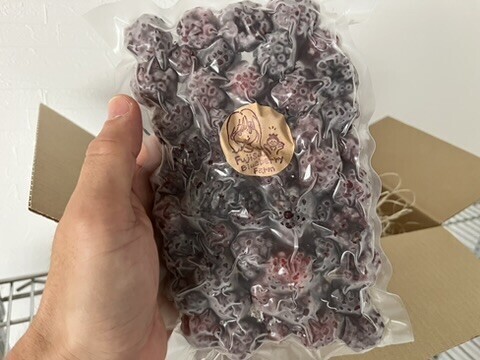 ワインのような深み！大人のブラックベリー｜収穫当日に冷凍 (1kg)