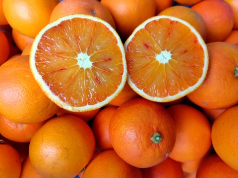 【農薬不使用】訳アリブラッドオレンジ（タロッコ種）　3㎏