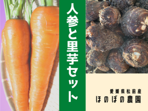 １／１５～✨穫れたて直送❗ほのぼのキャロット(人参)3㎏＆純白の里芋(さといも)1.5㎏