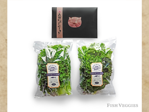 山桜いぶしベーコン200gとケールとレタスのサラダセット80gx2袋