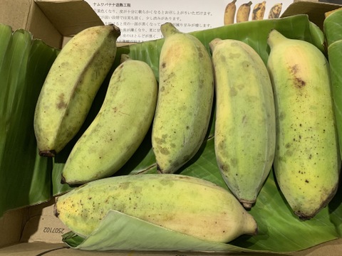特別価格！】沖縄産ナムワバナナ1kg：沖縄県産のその他バナナ｜食べ