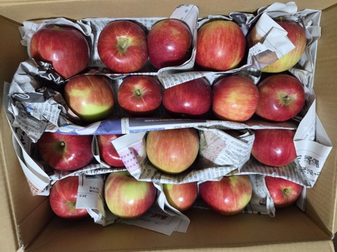 甘酸っぱい♡山形県産りんご♡紅玉♡お試しサイズ♡