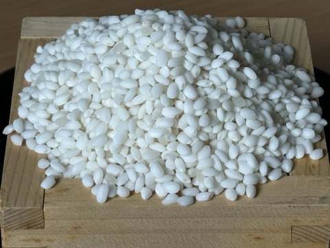 【令和7年新米】北海道産 はくちょうもち 5kg(精米)