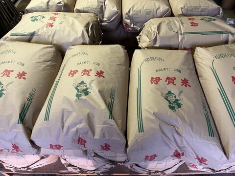 伊賀コシヒカリ 令和7年産 白米5kg(箱込み)  ～忍者の里が育んだ至高の一粒～