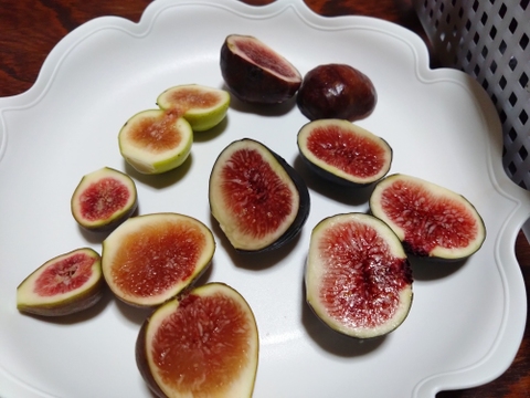 完熟冷凍　希少いちじくお楽しみセット【農薬・除草剤・化学肥料・添加物不使用】
