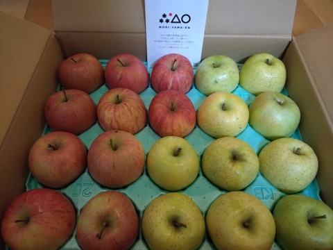農薬50％減 訳ありご家庭用 サンふじ・王林セット5kg【特別栽培認証取得】🍎🍏りんご食べ比べ 青森 人気 定番セット
