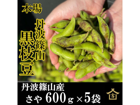 丹波篠山 黒枝豆 枝豆 丹波 黒豆 600g × 5 丹波篠山産 2024年 丹波 枝豆 もっちり 黒大豆 大粒 波部黒 丹波黒 高級 3000g 黒大豆枝豆 枝なし さや