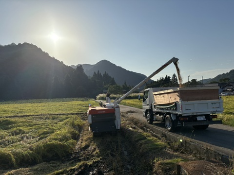 精米  魚沼産コシヒカリ 10㎏  令和7年産  魚沼市産