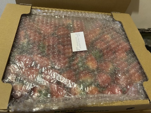 【内容量約750g】【12月発送】【今年はきらぴ香いちごをお届け！】【安定感抜群の濃厚な味と香り！】