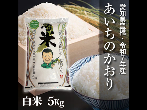 【節減対象農薬6割減】あいちのかおり 白米5kg【令和7年・愛知県産】