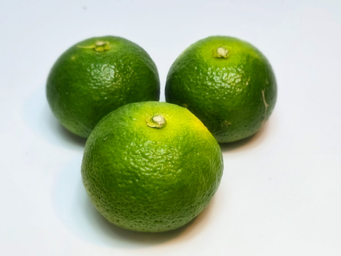 箱込約1㌔　激レア果実を出品　直七　幻の柑橘